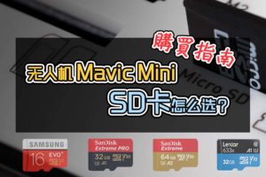 micro sd for mavic mini