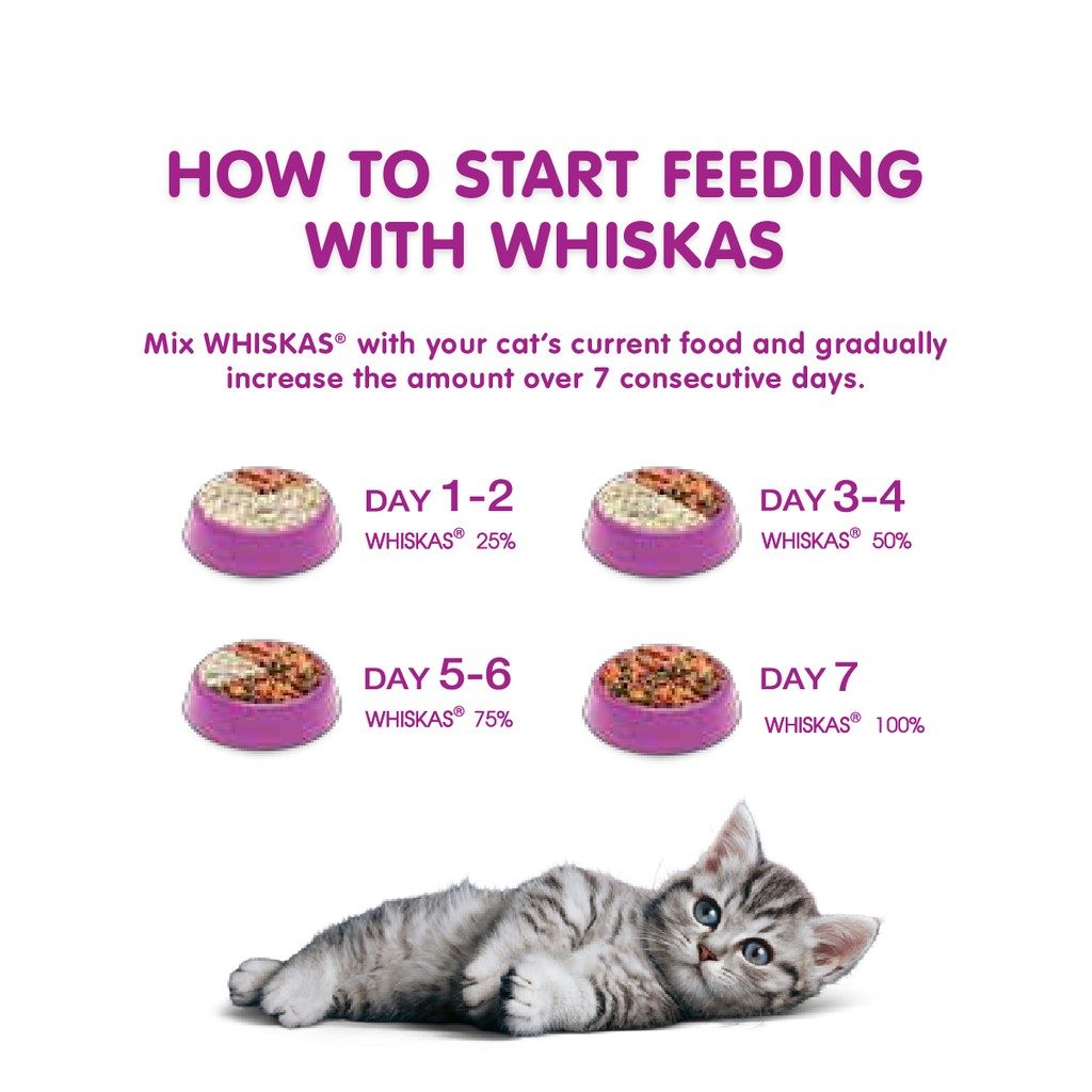 cat food whiskas feeding