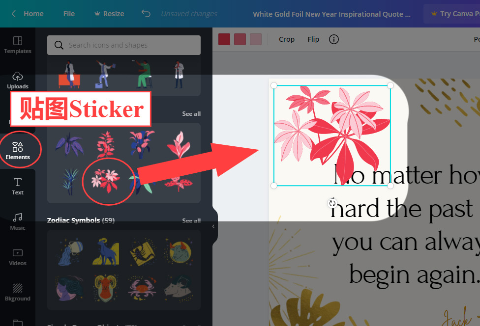 how to use canva