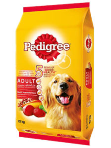 pedigree dog