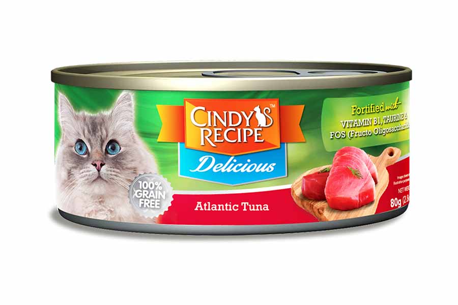 Cat_Wet_Food_Cindy_s_Recipe_Delicious_