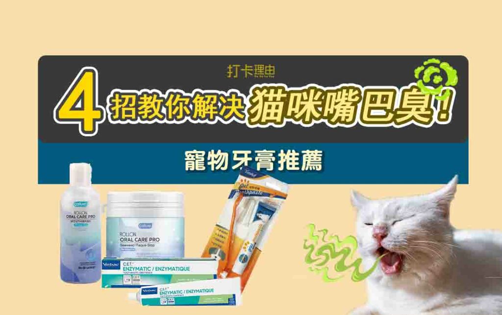 Cat toothpaste dental care